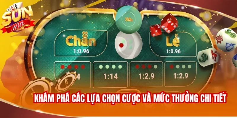 XÓC ĐĨA SUNWIN 3 Khám phá các lựa chọn cược và mức thưởng chi tiết